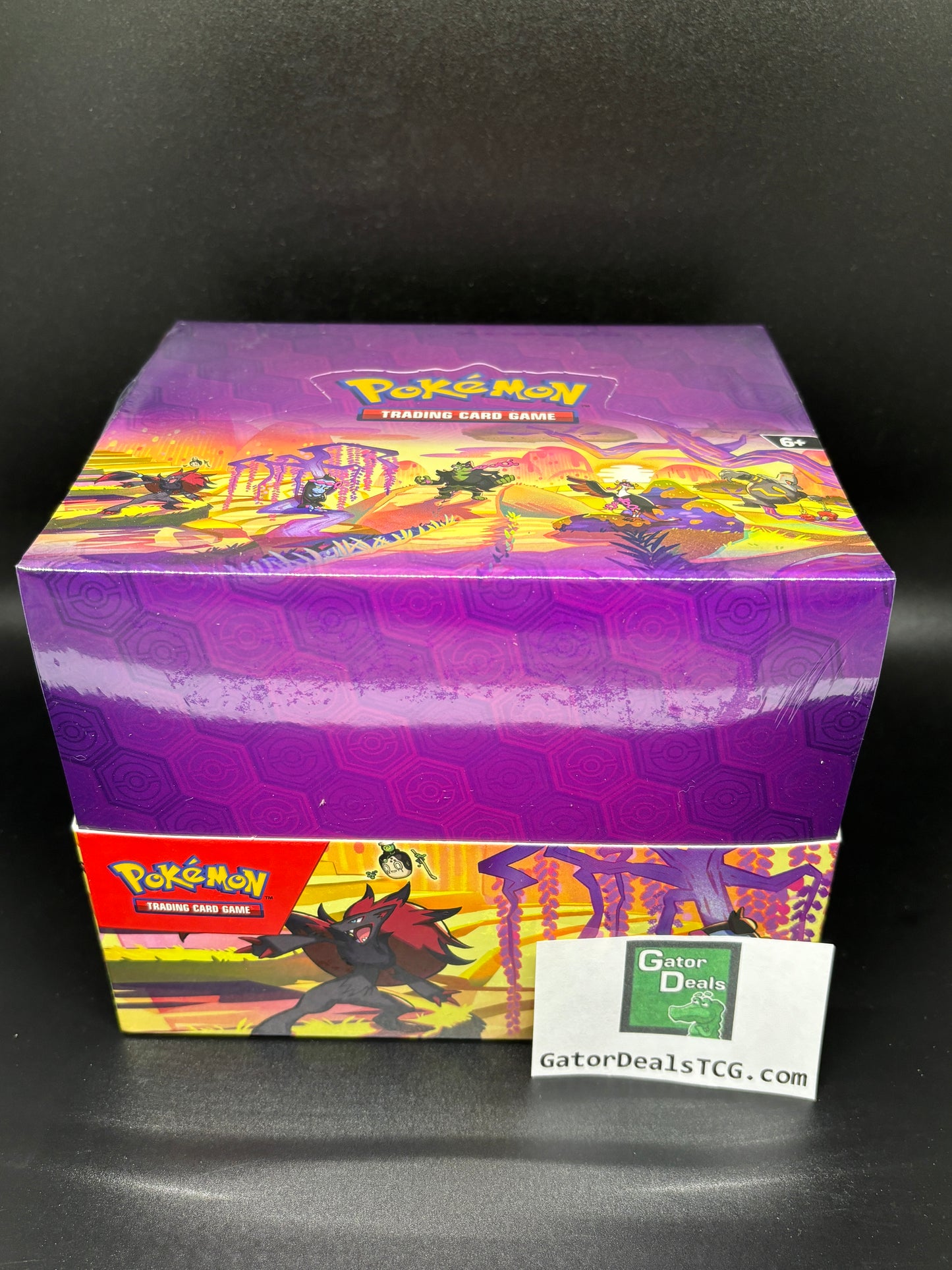 Pokémon TCG: Scarlet & Violet - Shrouded Fable Mini Tin Display